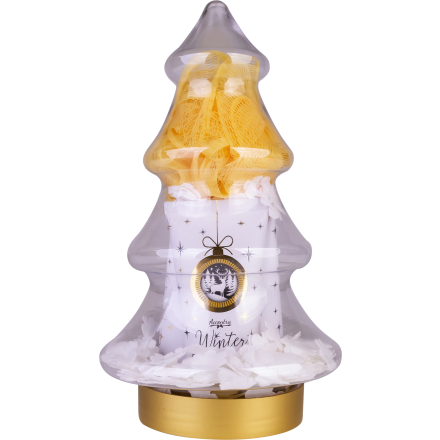 ACCENTRA WINTER GLAMOUR Подаръчен комплект, 5 части