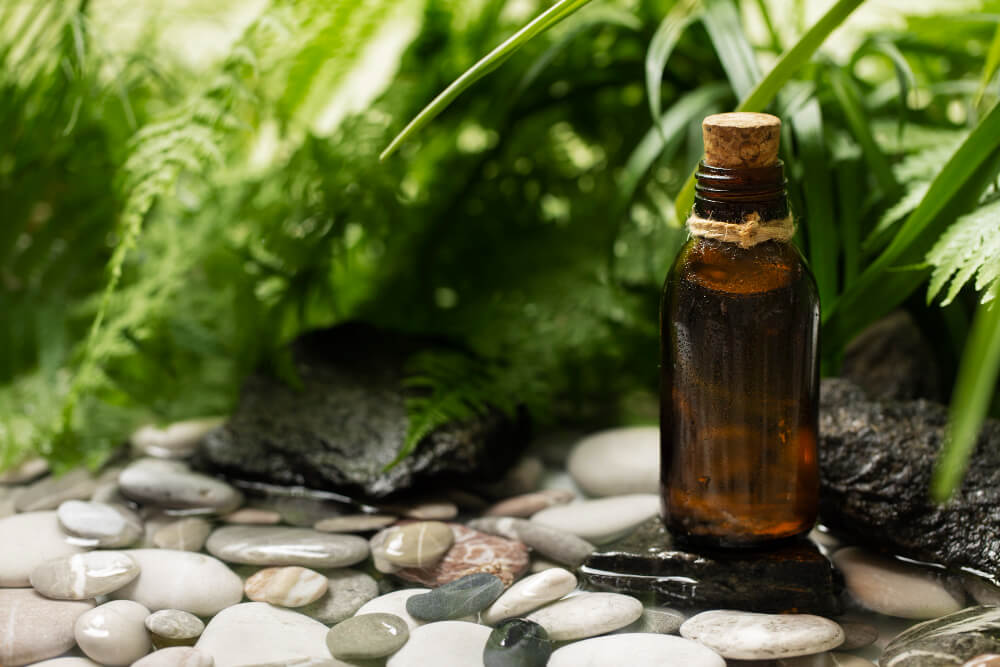 Какви са ползите от етерично масло от евкалипт?