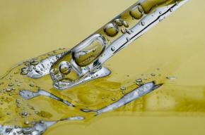 Какви са ползите от щраусовата мас?