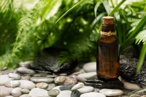 Какви са ползите от етерично масло от евкалипт?