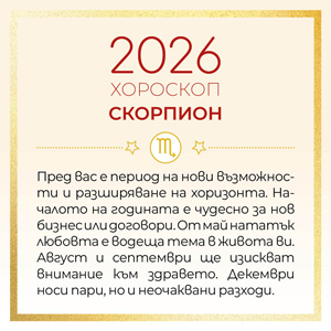 08_Xmas_BG_Catalog_Horoskop_300x300px_Skorpion