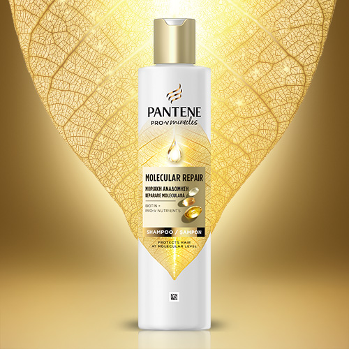 Pantene_Genesis_500x500px_BG_Sampon